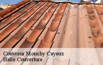 Couvreur  62134