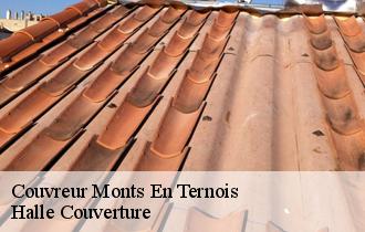 Couvreur  62130