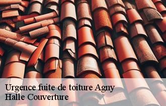 Urgence fuite de toiture  62217