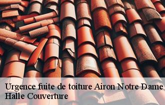 Urgence fuite de toiture 62180
