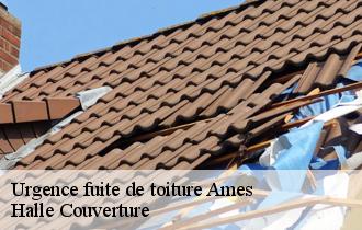 Urgence fuite de toiture  ames-62190 Halle Couverture