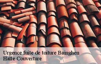Urgence fuite de toiture 62850