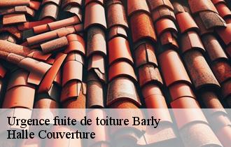 Urgence fuite de toiture 62810
