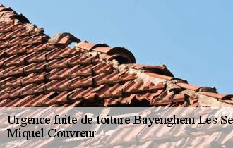 Urgence fuite de toiture  bayenghem-les-seninghem-62380 Miquel Couvreur