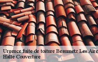 Urgence fuite de toiture  62960
