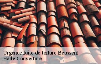 Urgence fuite de toiture  62170