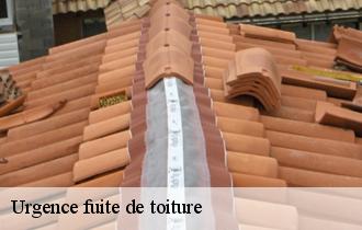Urgence fuite de toiture