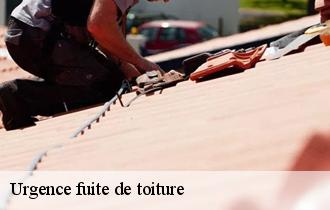 Urgence fuite de toiture