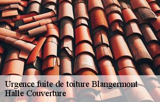 Urgence fuite de toiture  62270