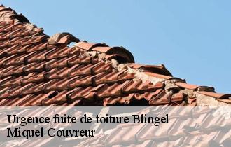 Urgence fuite de toiture  blingel-62770 Miquel Couvreur