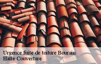 Urgence fuite de toiture 62132