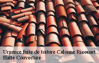 Réparation fuite de toiture 62470