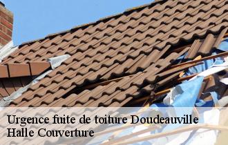 Urgence fuite de toiture  doudeauville-62830 Halle Couverture