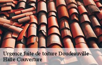 Urgence fuite de toiture  62830