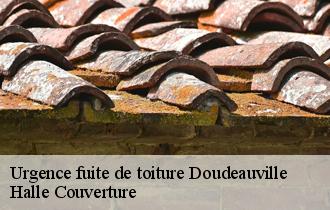 Urgence fuite de toiture