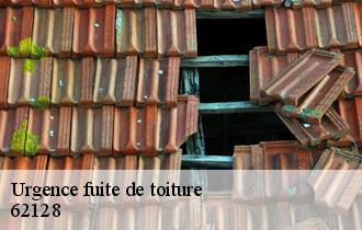 Urgence fuite de toiture  62128