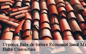 Urgence fuite de toiture  62128