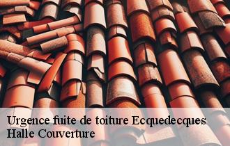 Urgence fuite de toiture  62190