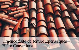 Urgence fuite de toiture  62910