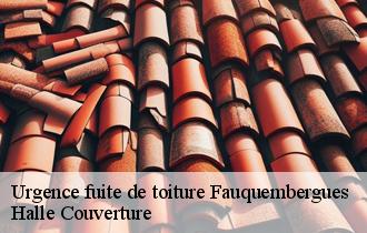 Urgence fuite de toiture 62560