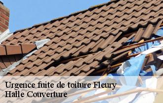 Urgence fuite de toiture fleury-62134 MDJ Couverture