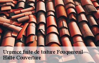 Urgence fuite de toiture  62232