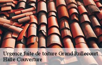 Urgence fuite de toiture  62810