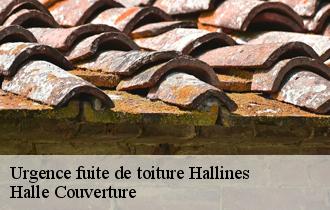 Urgence fuite de toiture