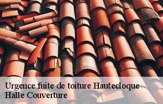 Urgence fuite de toiture 62130