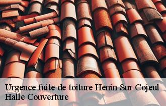 Urgence fuite de toiture  62128