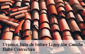 Urgence fuite de toiture 62270