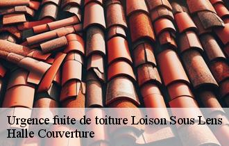 Urgence fuite de toiture 62218