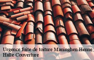 Urgence fuite de toiture 62250