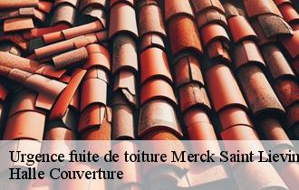 Urgence fuite de toiture  62560