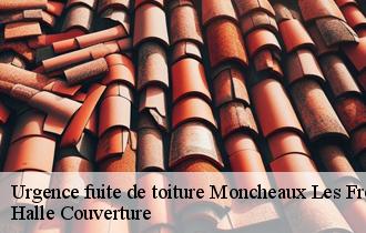 Urgence fuite de toiture 62270