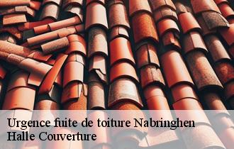 Urgence fuite de toiture 62142