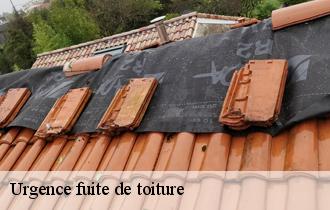 Urgence fuite de toiture  62130