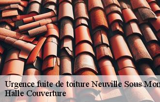 Urgence fuite de toiture  62170