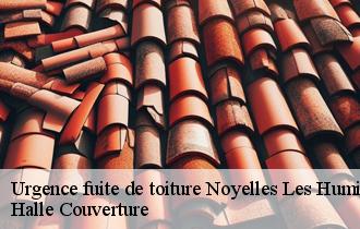 Urgence fuite de toiture 62770