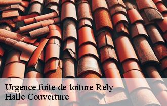 Urgence fuite de toiture  62120