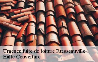 Urgence fuite de toiture  62310