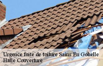 Urgence fuite de toiture  sains-en-gohelle-62114 Halle Couverture