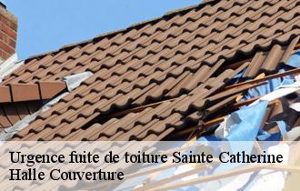 Urgence fuite de toiture  sainte-catherine-62223 Halle Couverture