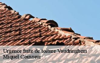 Urgence fuite de toiture  vaudringhem-62380 Miquel Couvreur