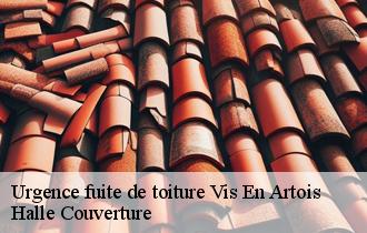 Urgence fuite de toiture  62156