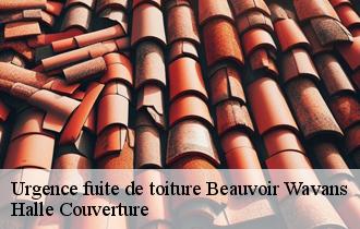 Urgence fuite de toiture  62390