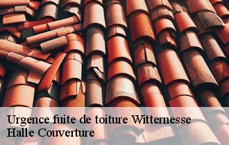 Urgence fuite de toiture  62120