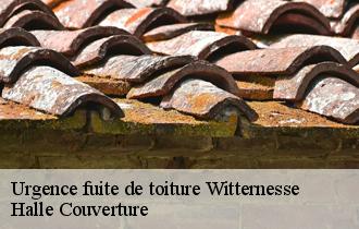 Urgence fuite de toiture