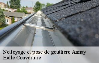 Nettoyage et pose de gouttière  annay-62880 Halle Couverture