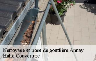Nettoyage et pose de gouttière  62880